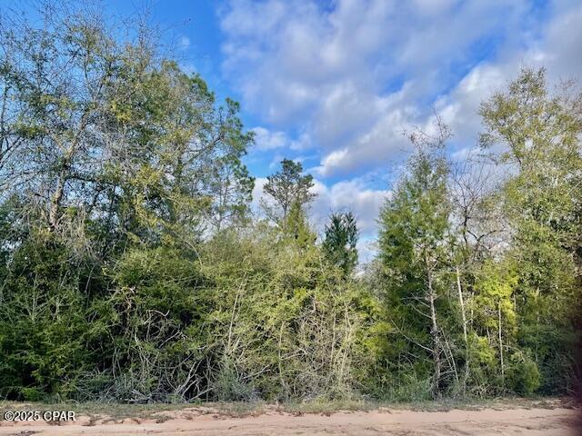 Details for Lot 38 Dorcas Road, Marianna, FL 32448