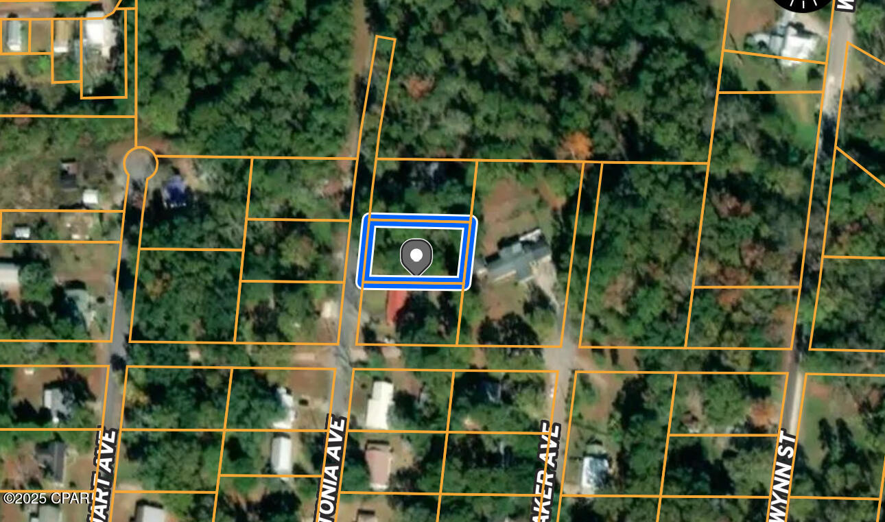 0000 Miltonia, Marianna, Florida image 11