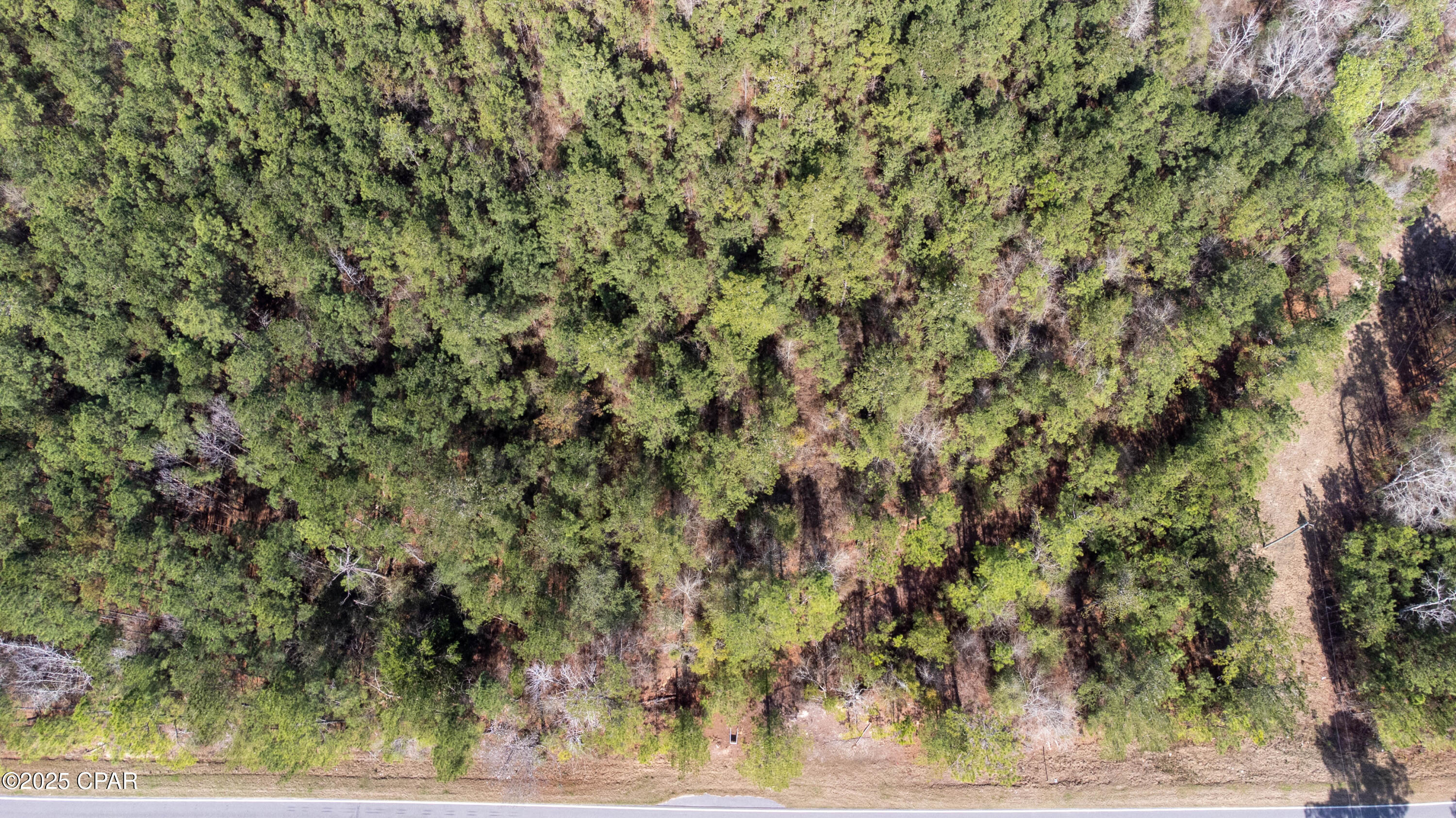 Highway 162, Bonifay, Florida image 10