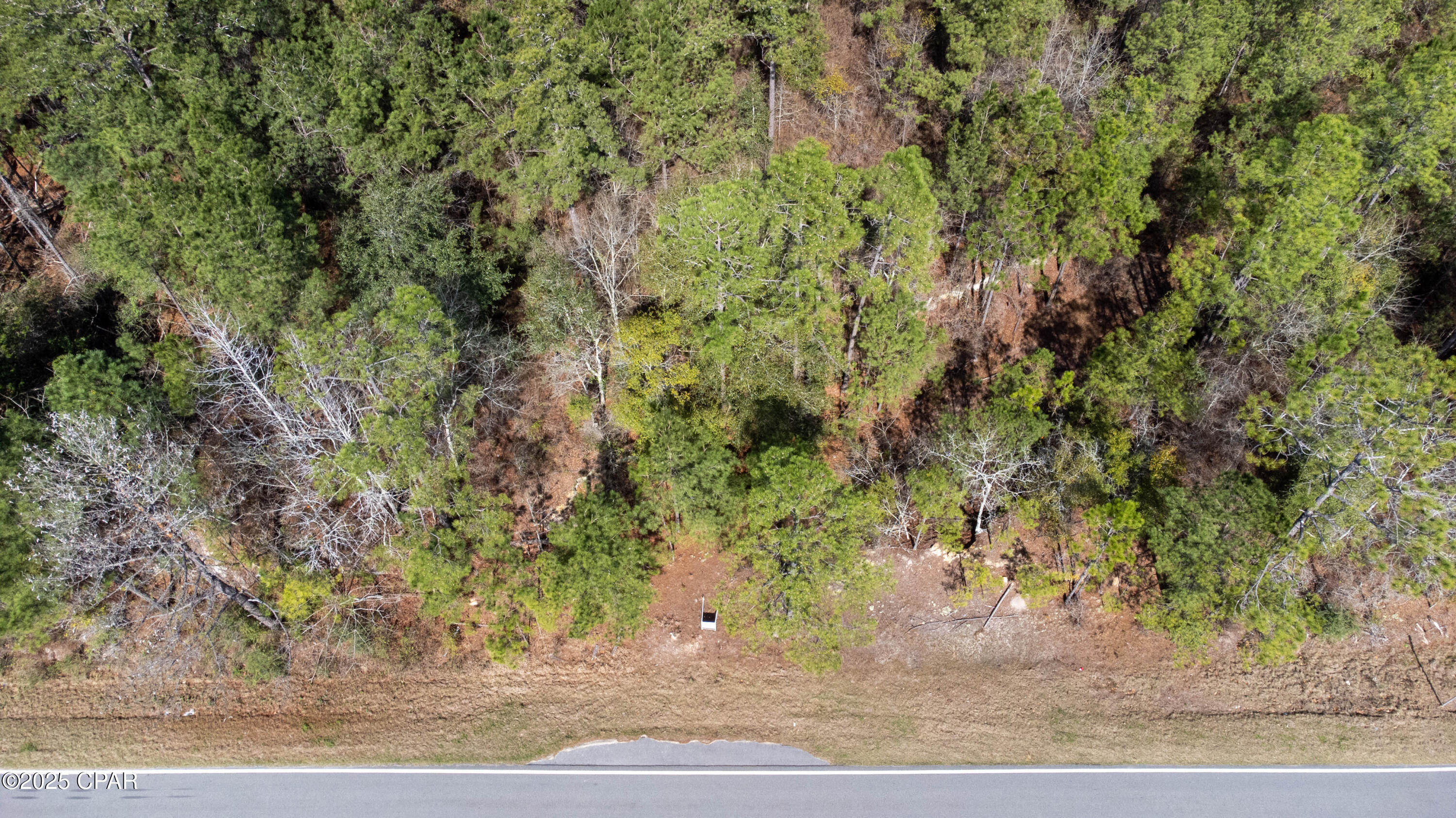 Highway 162, Bonifay, Florida image 9