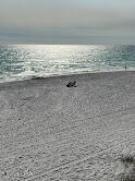 51 Channel Shoal Drive #LOT 19, Santa Rosa Beach, Florida image 50
