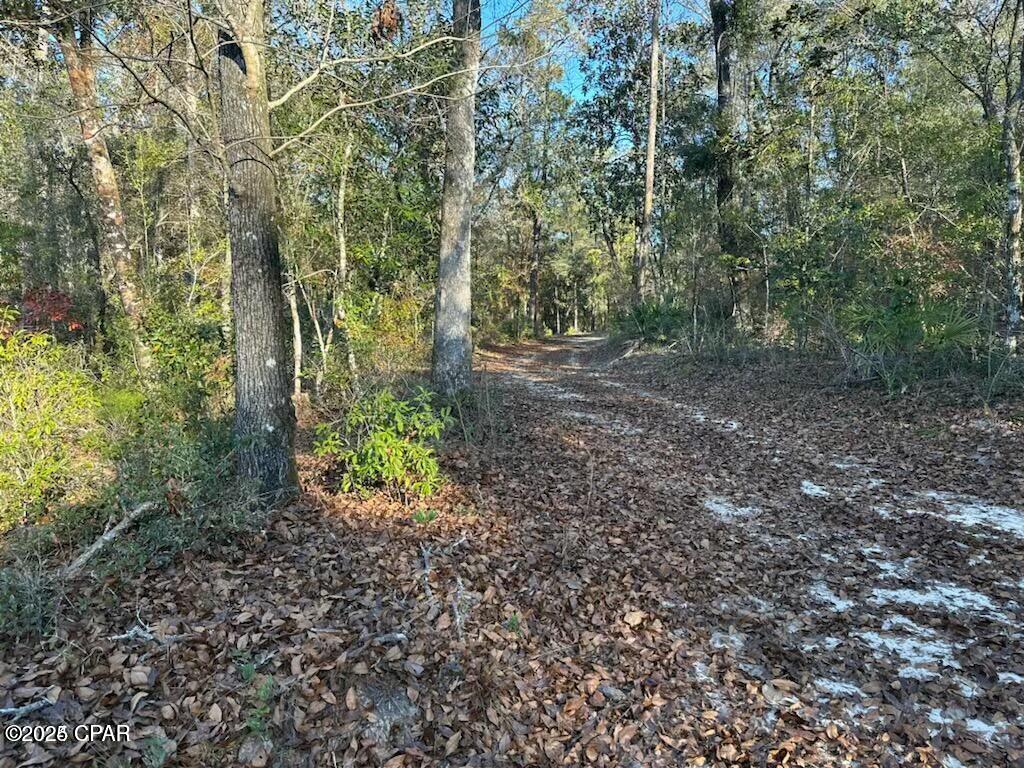 0000 Strickland Road, Ebro, Florida image 10