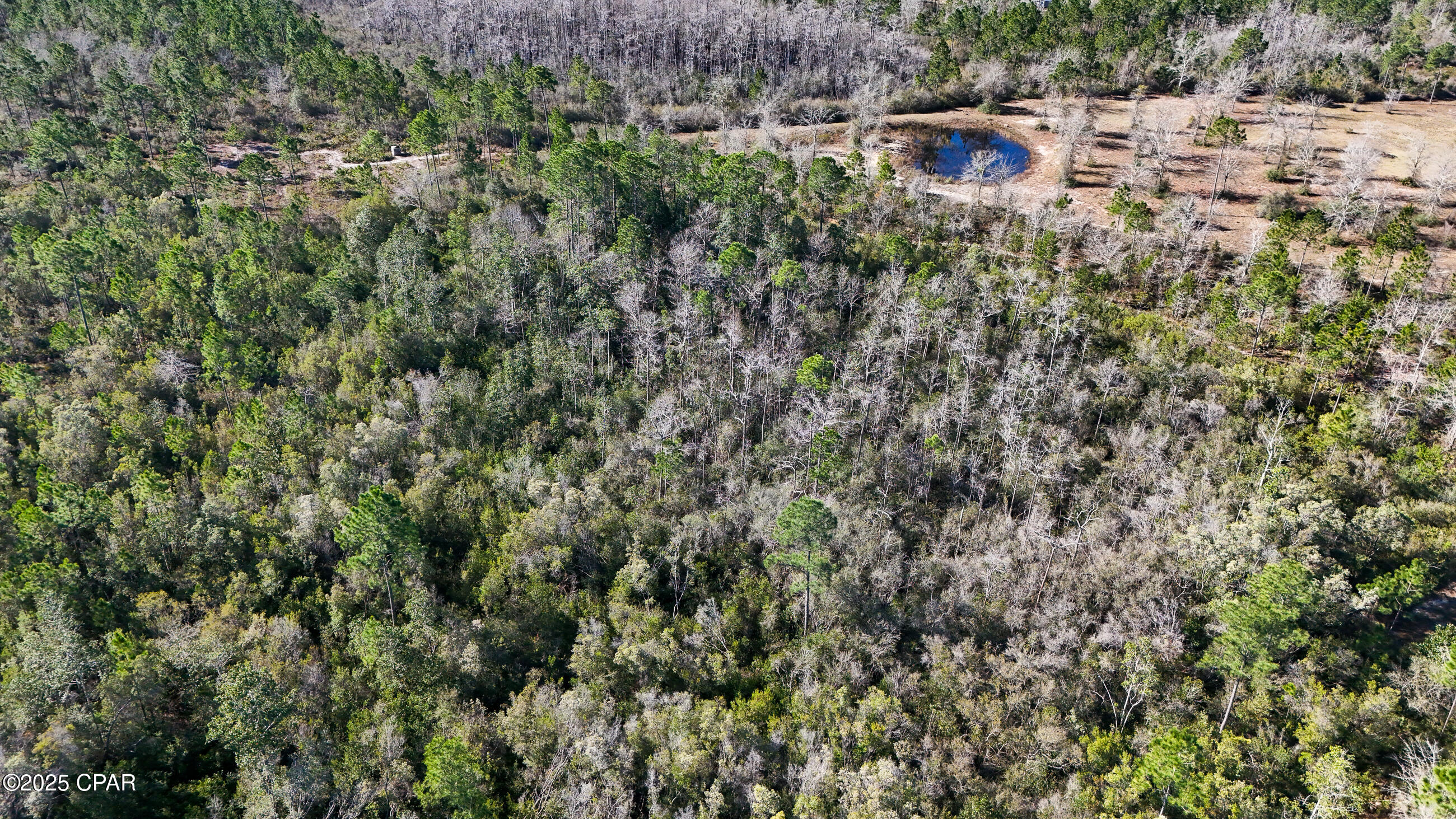 3407 NW County Road 274, Altha, Florida image 14