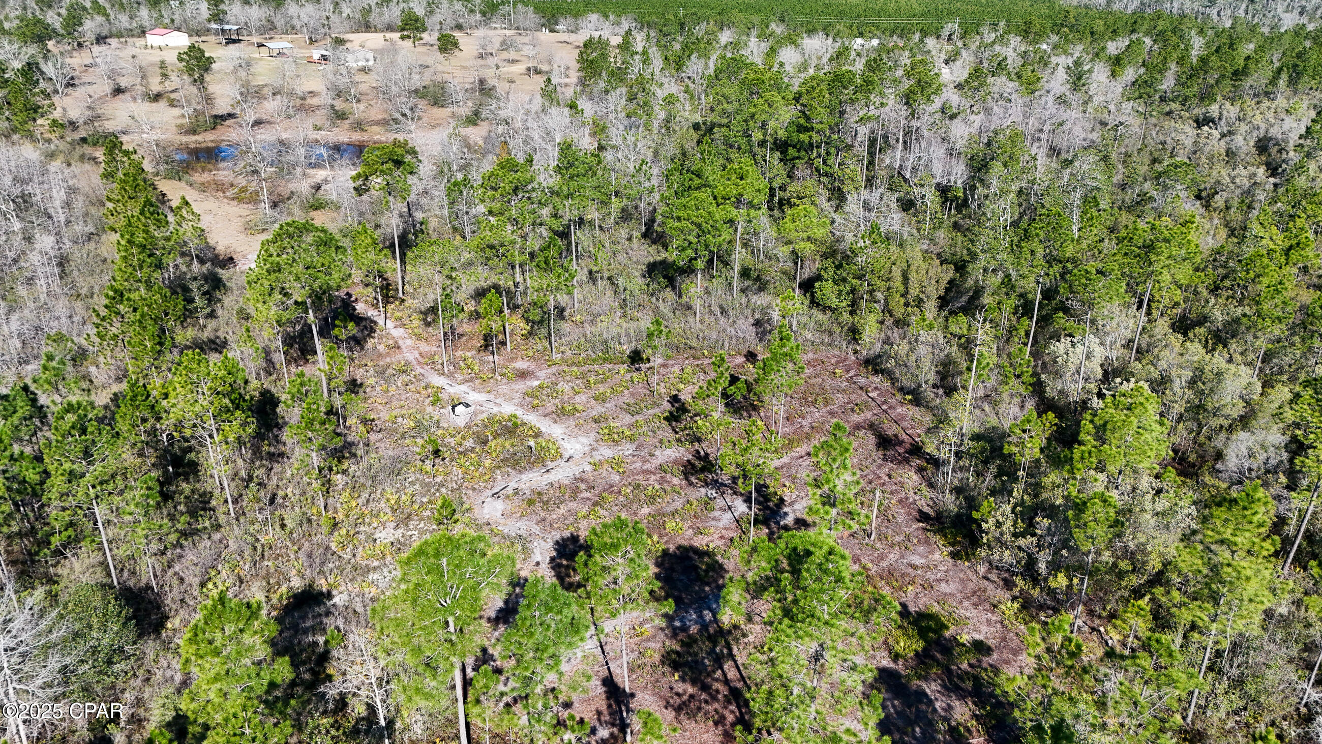 3407 NW County Road 274, Altha, Florida image 17