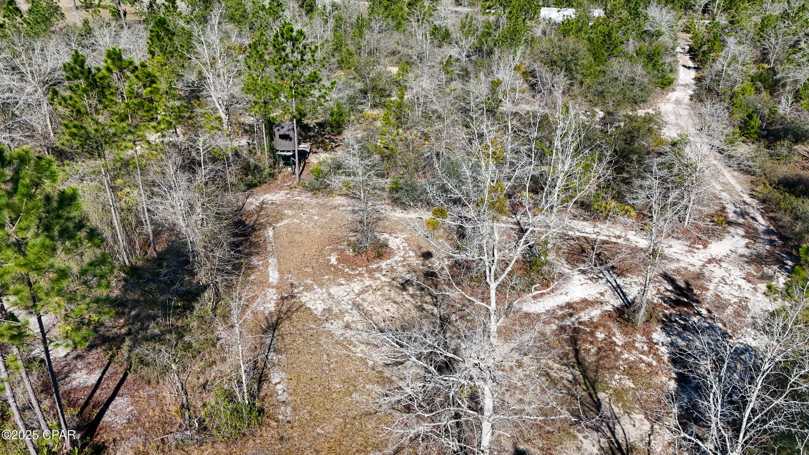 3407 NW County Road 274, Altha, Florida image 18