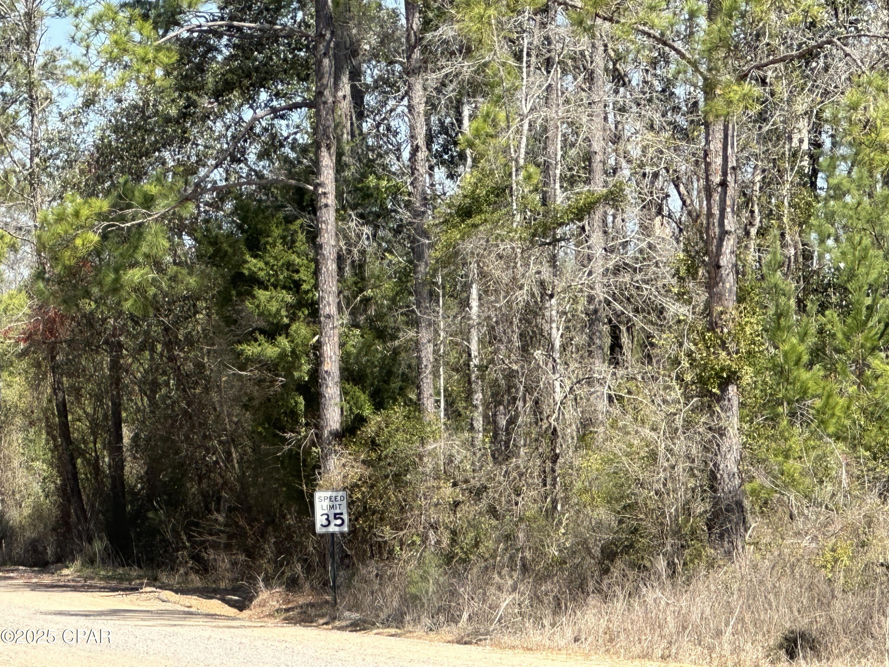 Tract 6411 White Road Open Creek Road, Chipley, Florida image 2