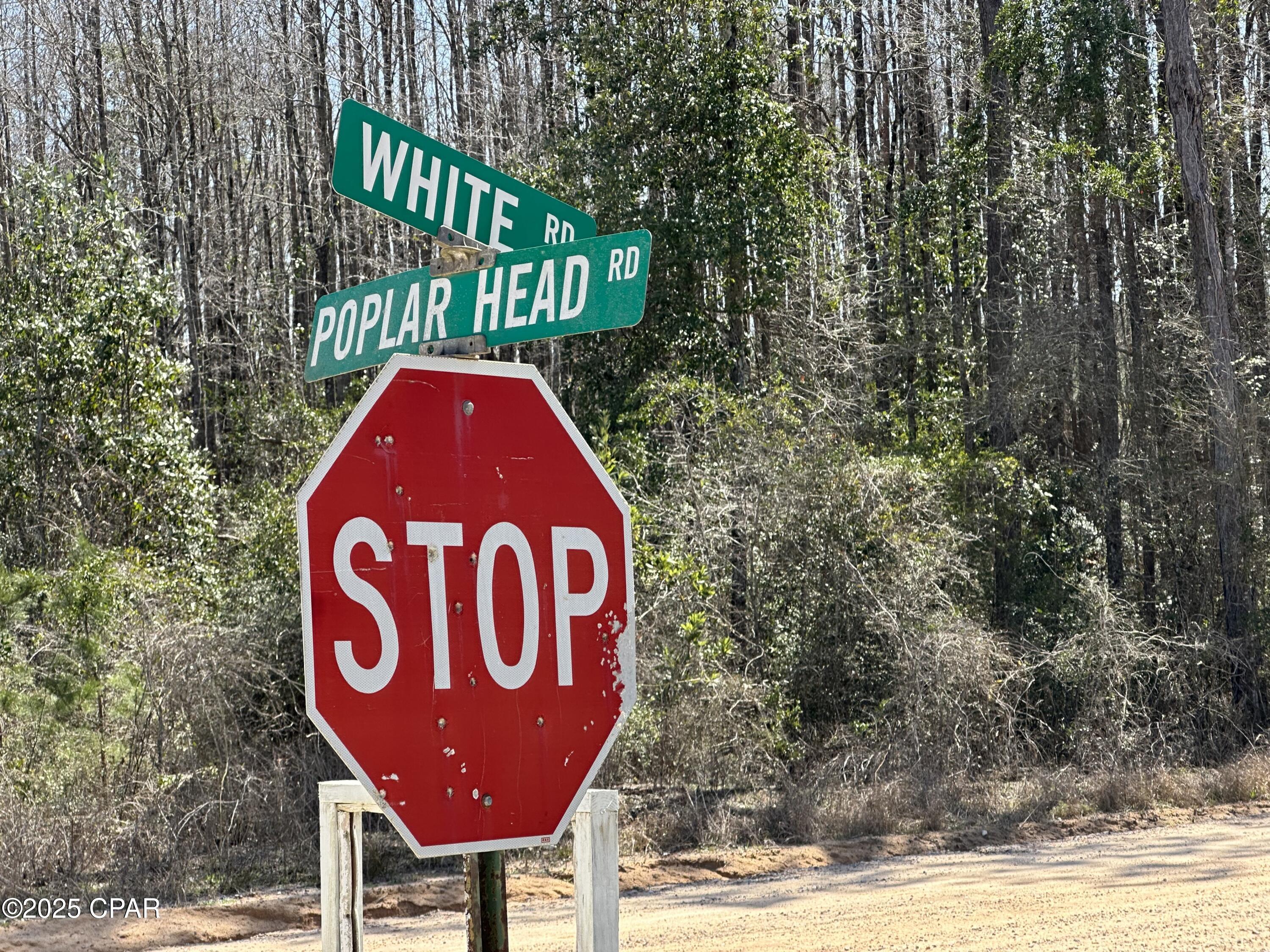 Tract 6411 White Road Open Creek Road, Chipley, Florida image 4