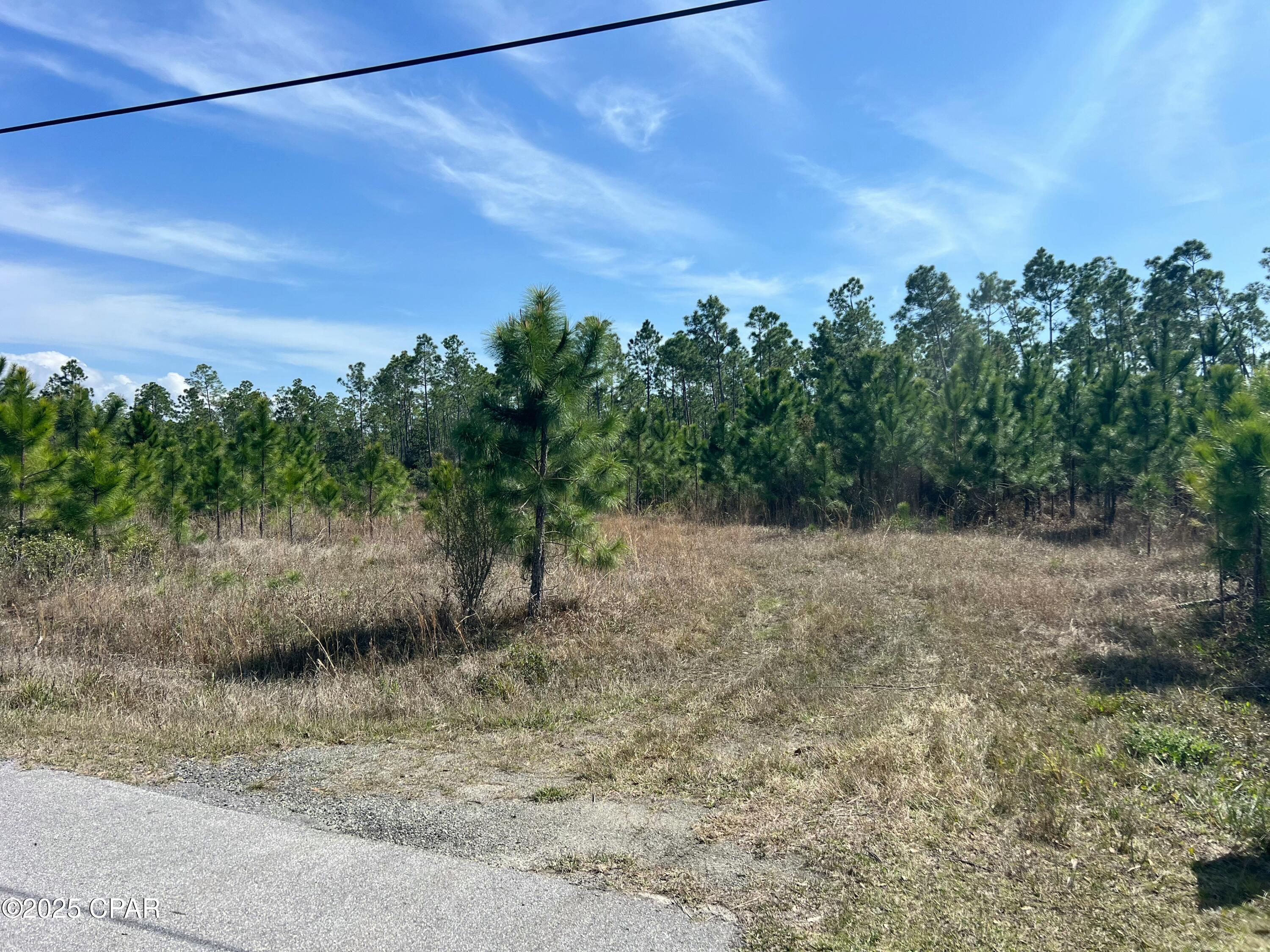 12816 Piercy Road, Panama City, Florida image 3