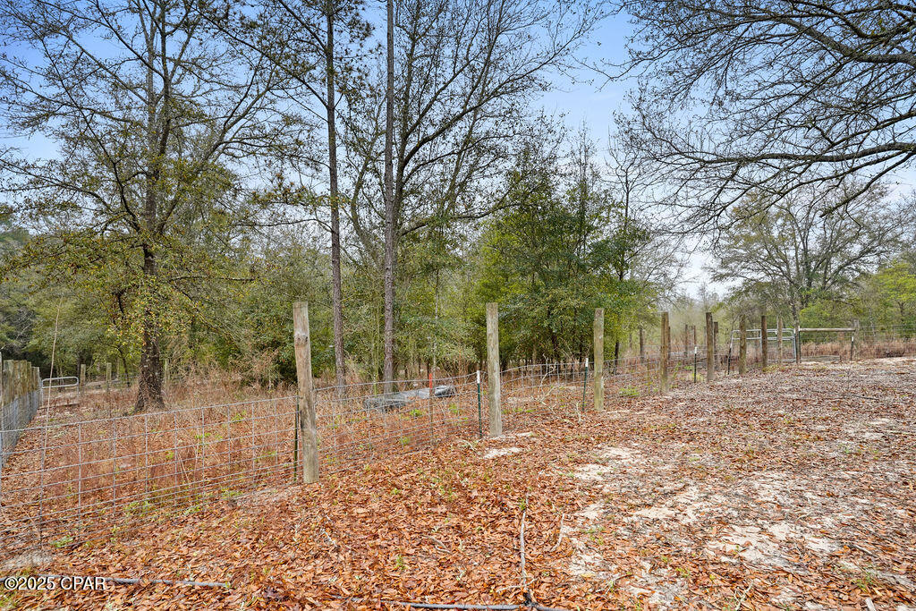 1591 River Road, Caryville, Florida image 29