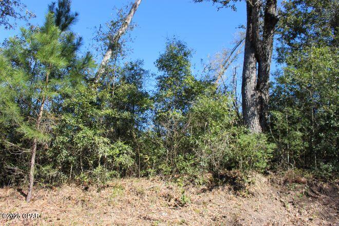 2935 Hwy 90, Cottondale, Florida image 1