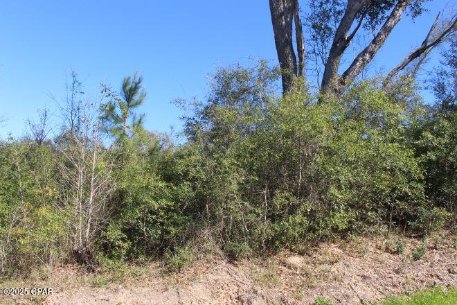 2935 Hwy 90, Cottondale, Florida image 11