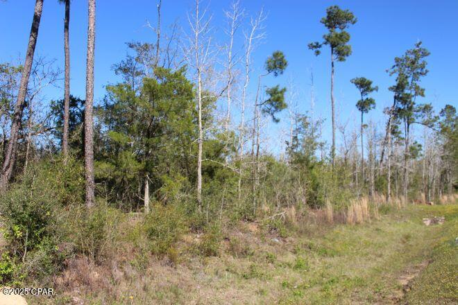 2935 Hwy 90, Cottondale, Florida image 13