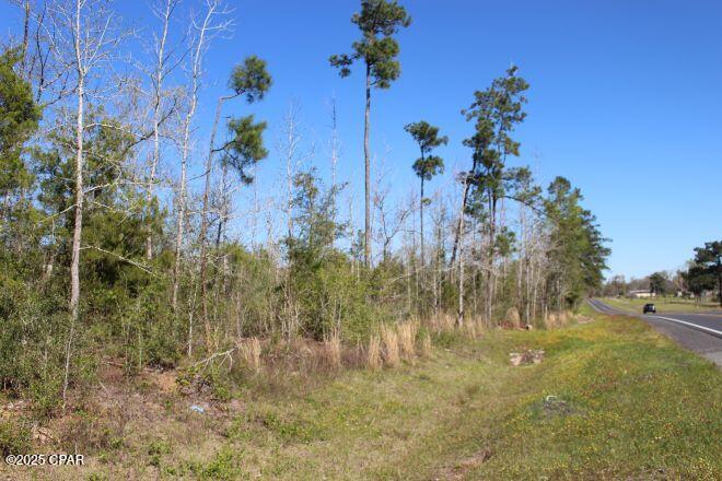2935 Hwy 90, Cottondale, Florida image 14