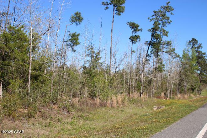 2935 Hwy 90, Cottondale, Florida image 17