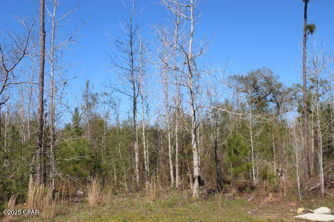 2935 Hwy 90, Cottondale, Florida image 18
