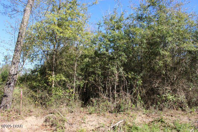 2935 Hwy 90, Cottondale, Florida image 6