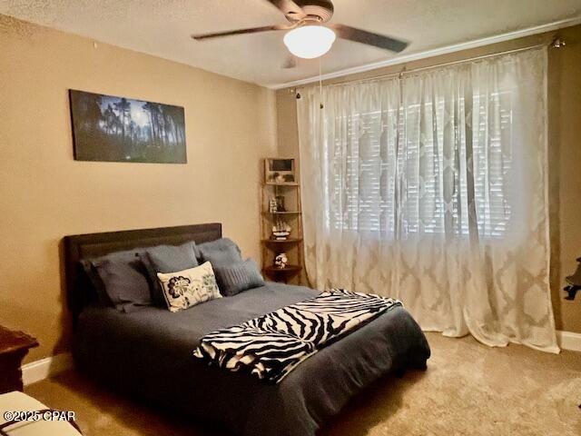 2799 W Laurel Drive, Alford, Florida image 13