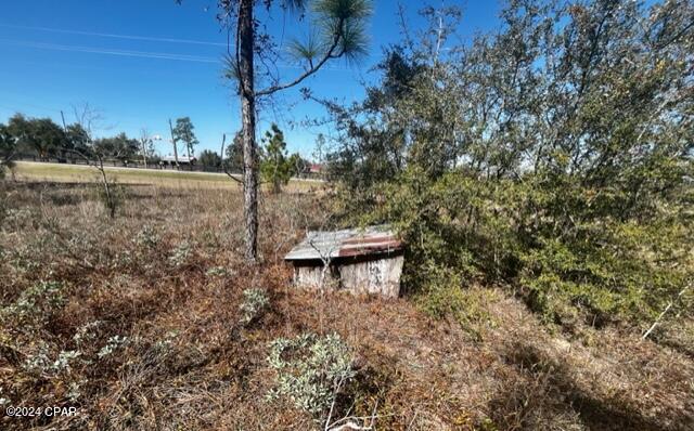 00 NW County Rd 274, Altha, Florida image 13