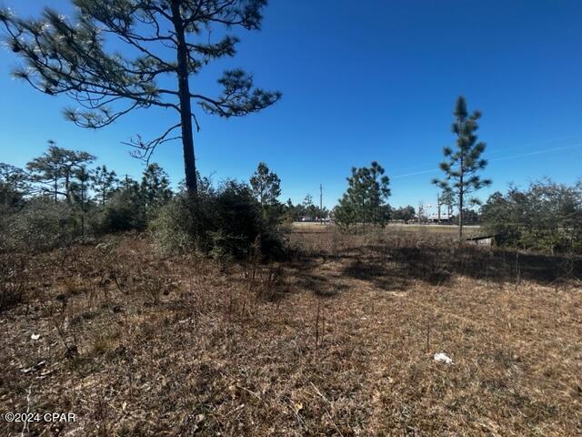 00 NW County Rd 274, Altha, Florida image 14
