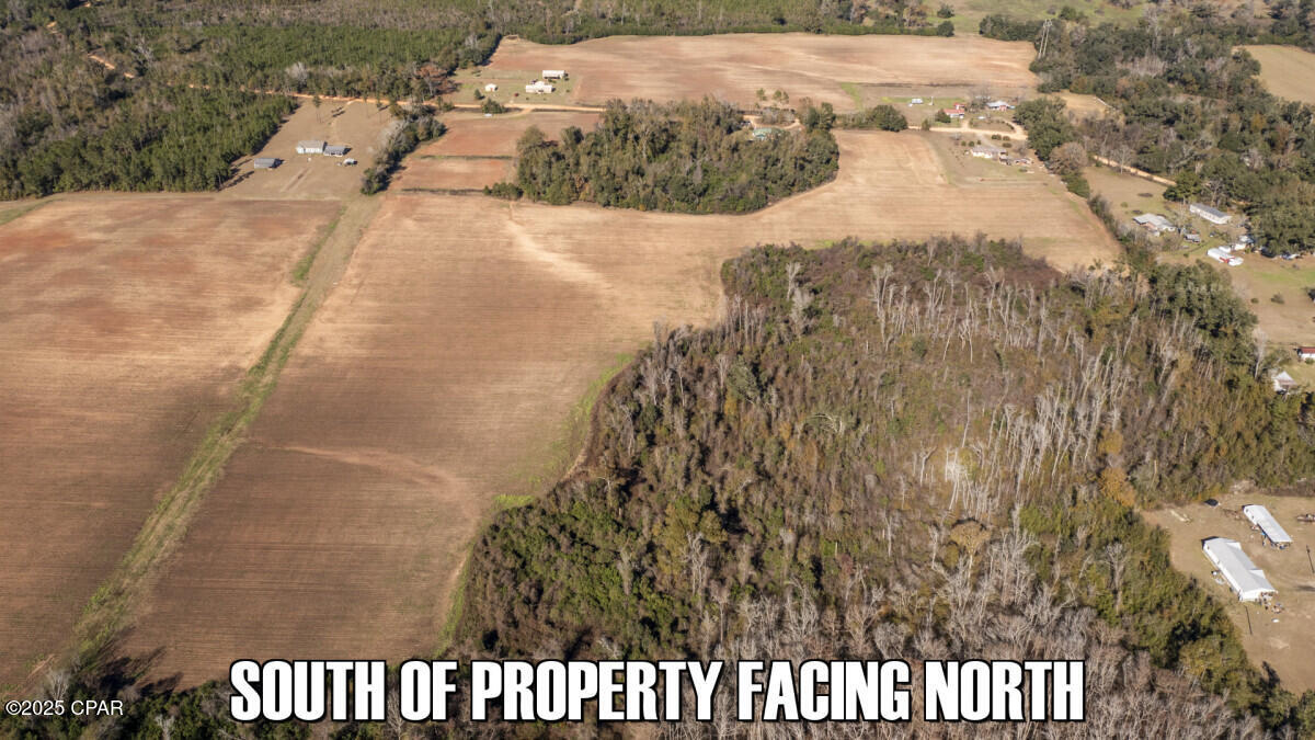 Sand Basin Road, Sneads, Florida image 16