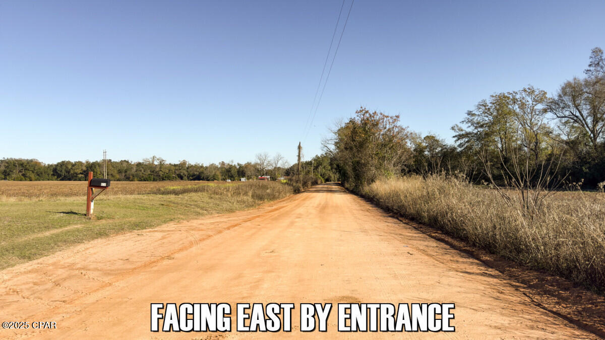 Sand Basin Road, Sneads, Florida image 7