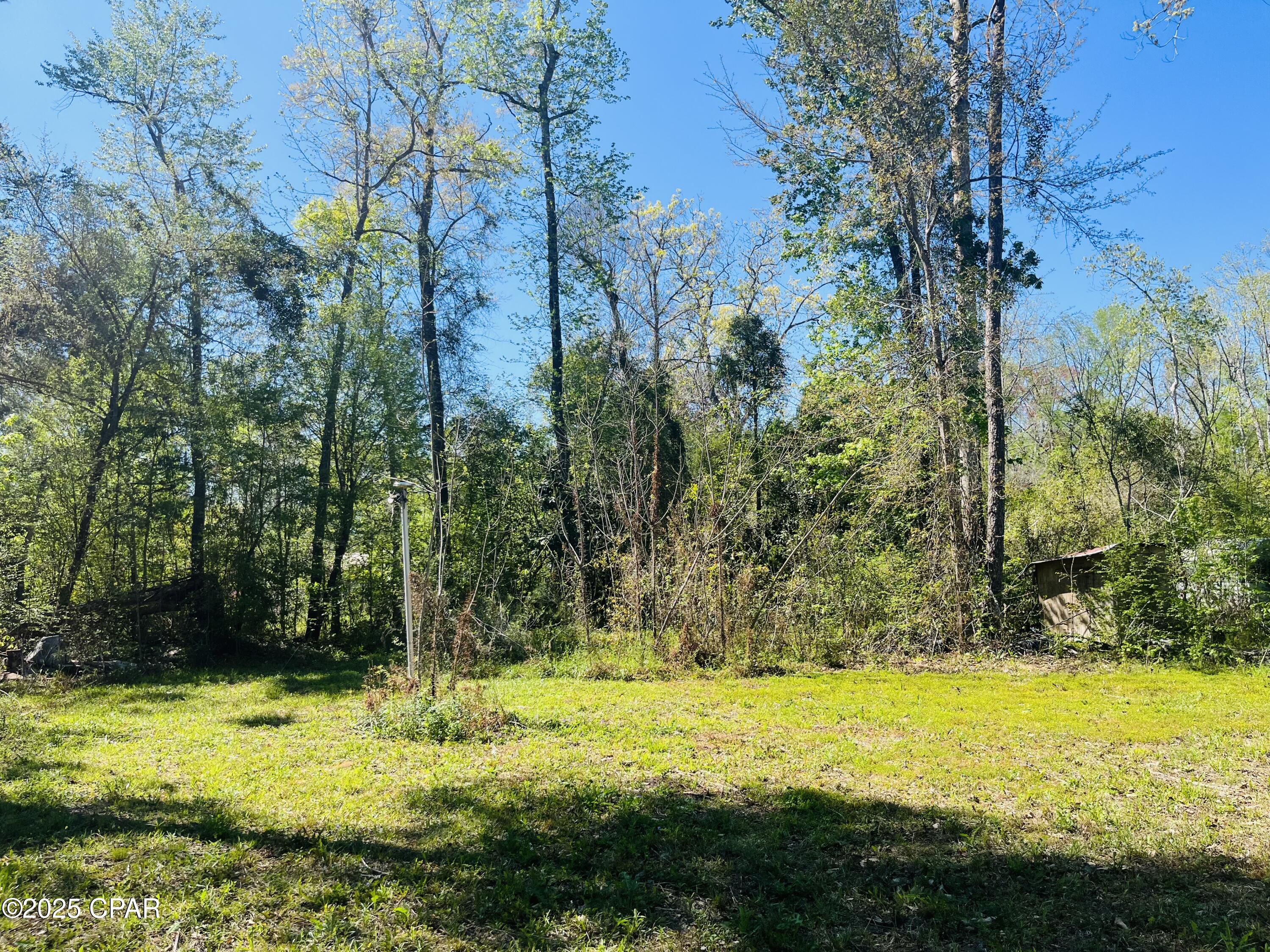 8106 NW River Road, Bristol, Florida image 7