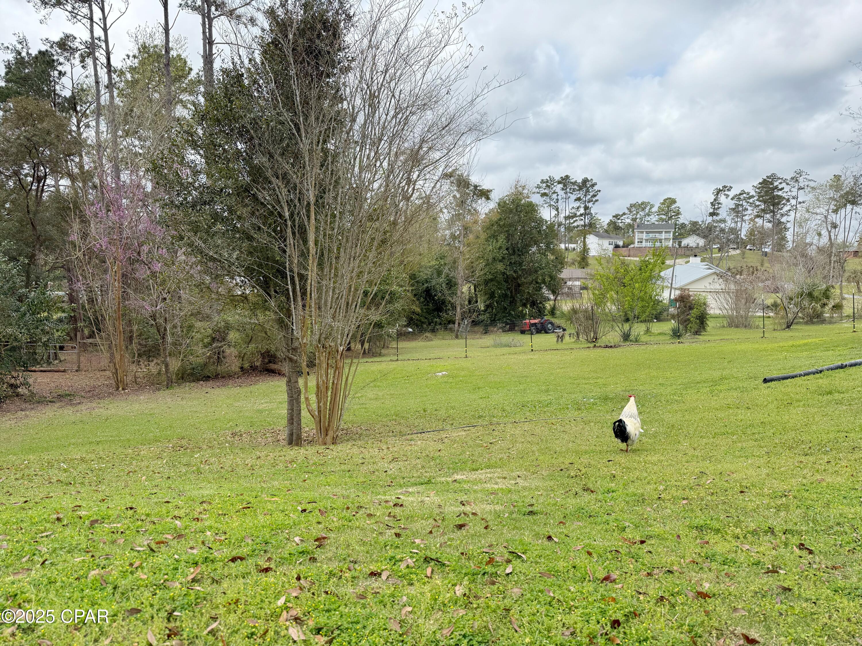 4651 River Drive, Marianna, Florida image 36