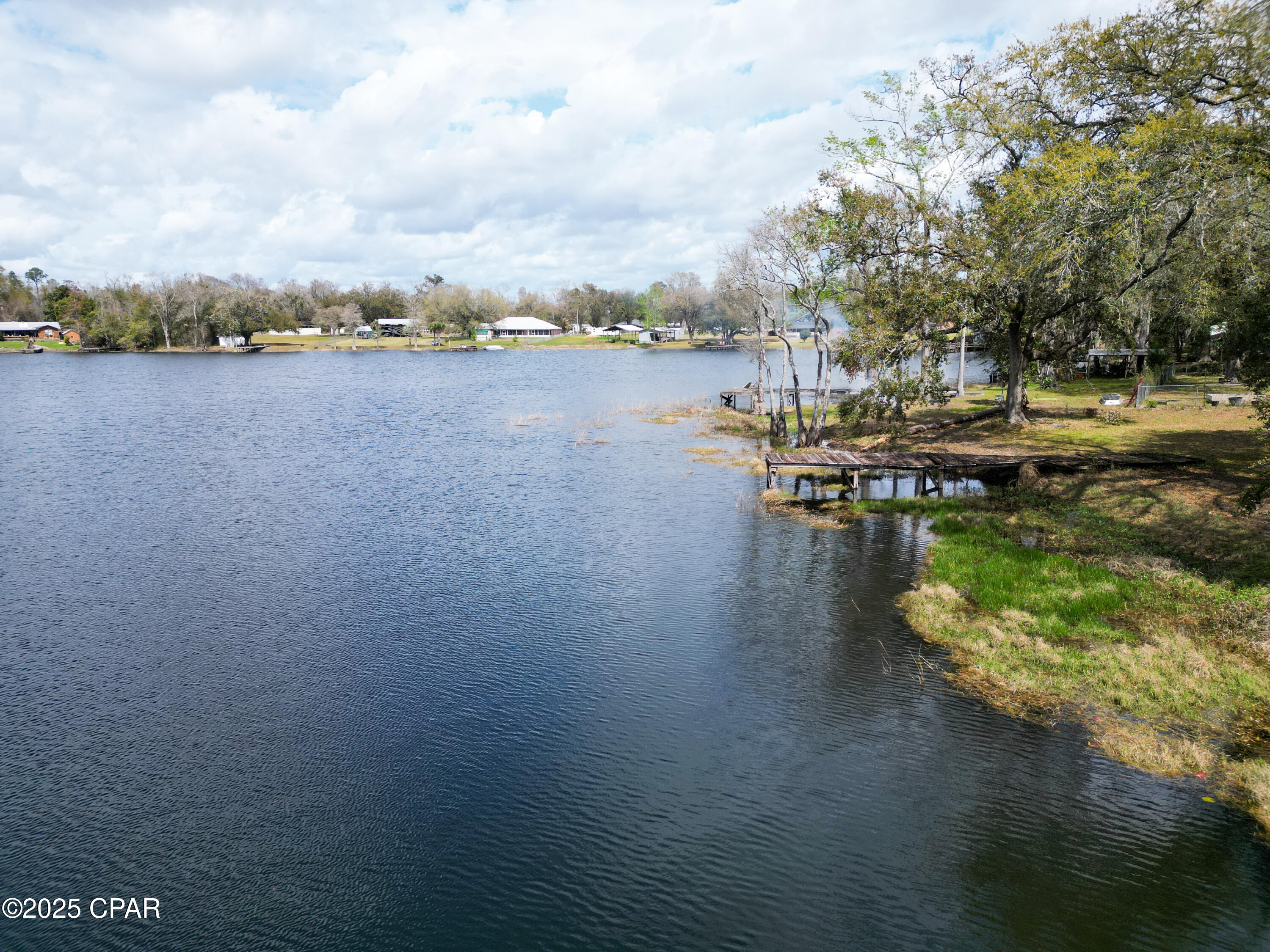 365 Land Drive, Wewahitchka, Florida image 4