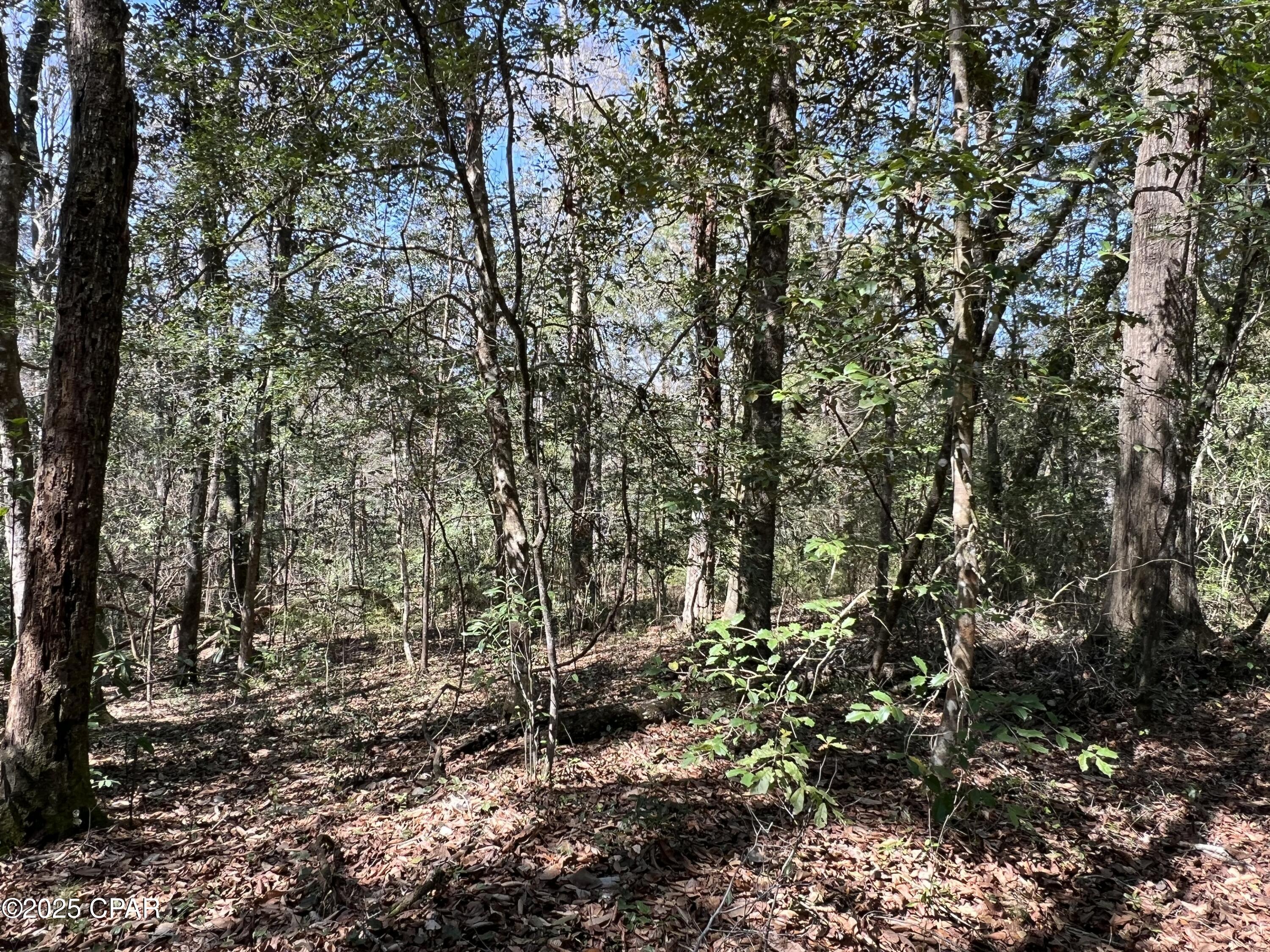 Details for Tbd Nottingham, Bonifay, FL 32425