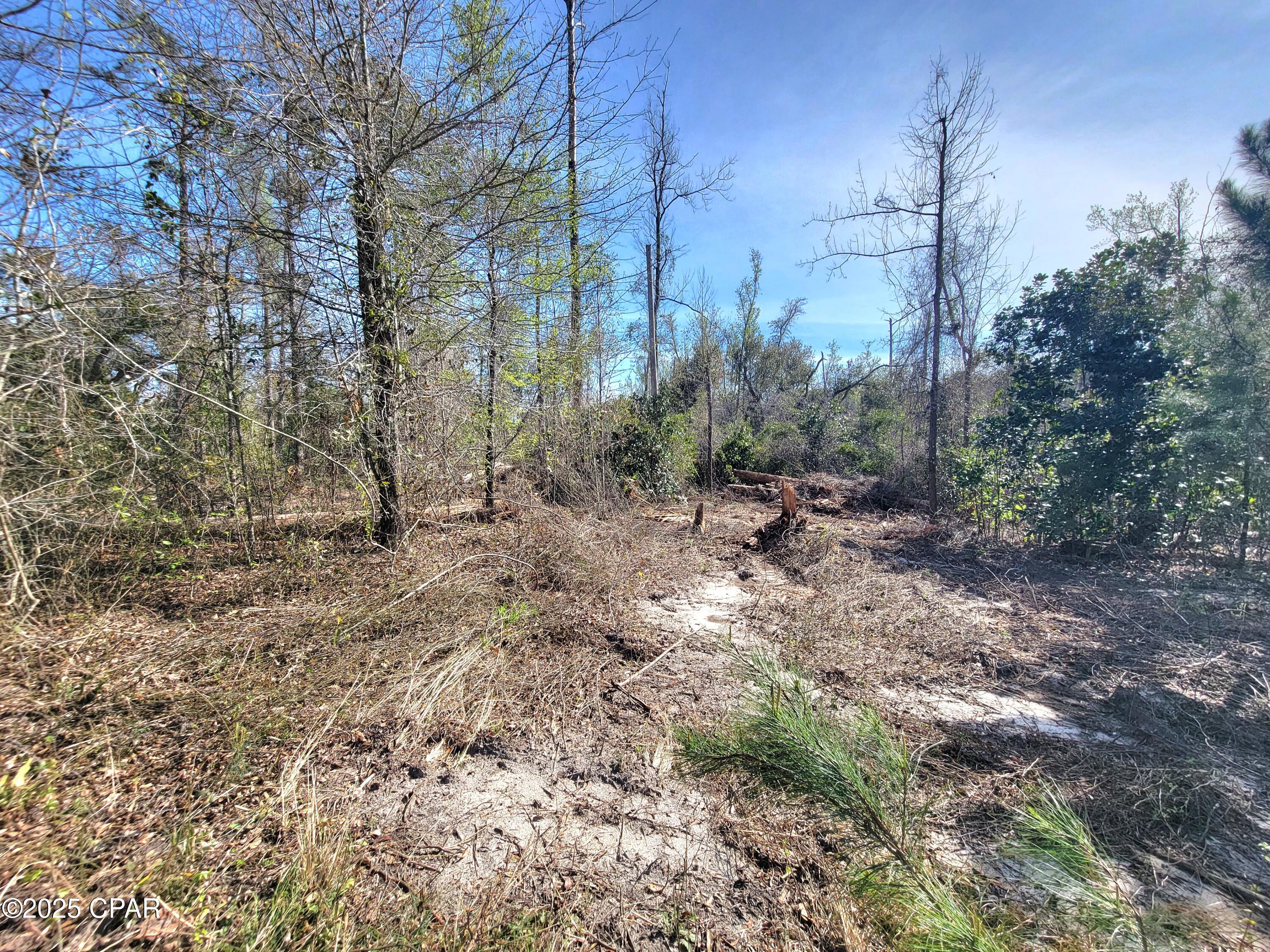 00 Us-90, Sneads, Florida image 3