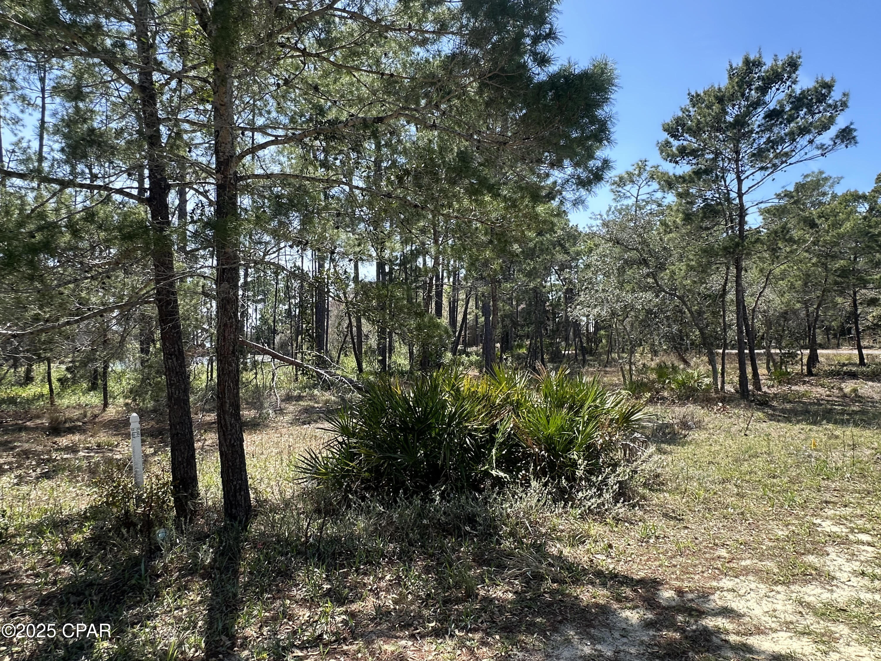 1205 W Water Oak Bend, Panama City Beach, Florida image 10