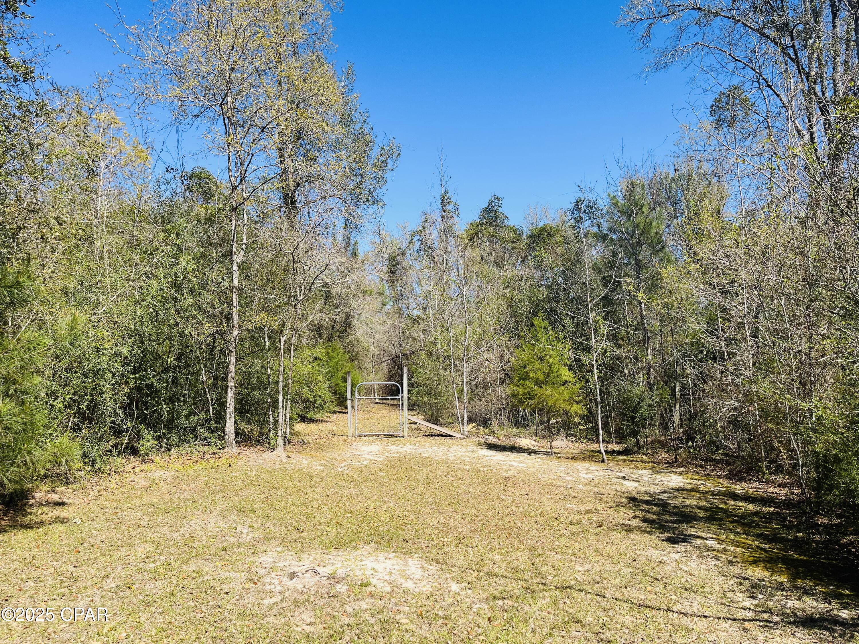 3010 Five Points Road, Cottondale, Florida image 41