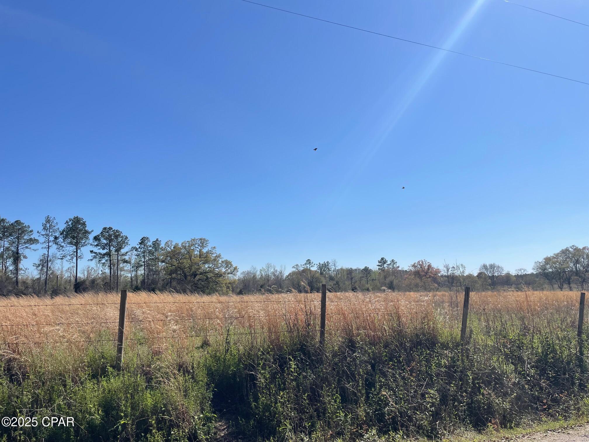 Image 2 For 851 Chance Road