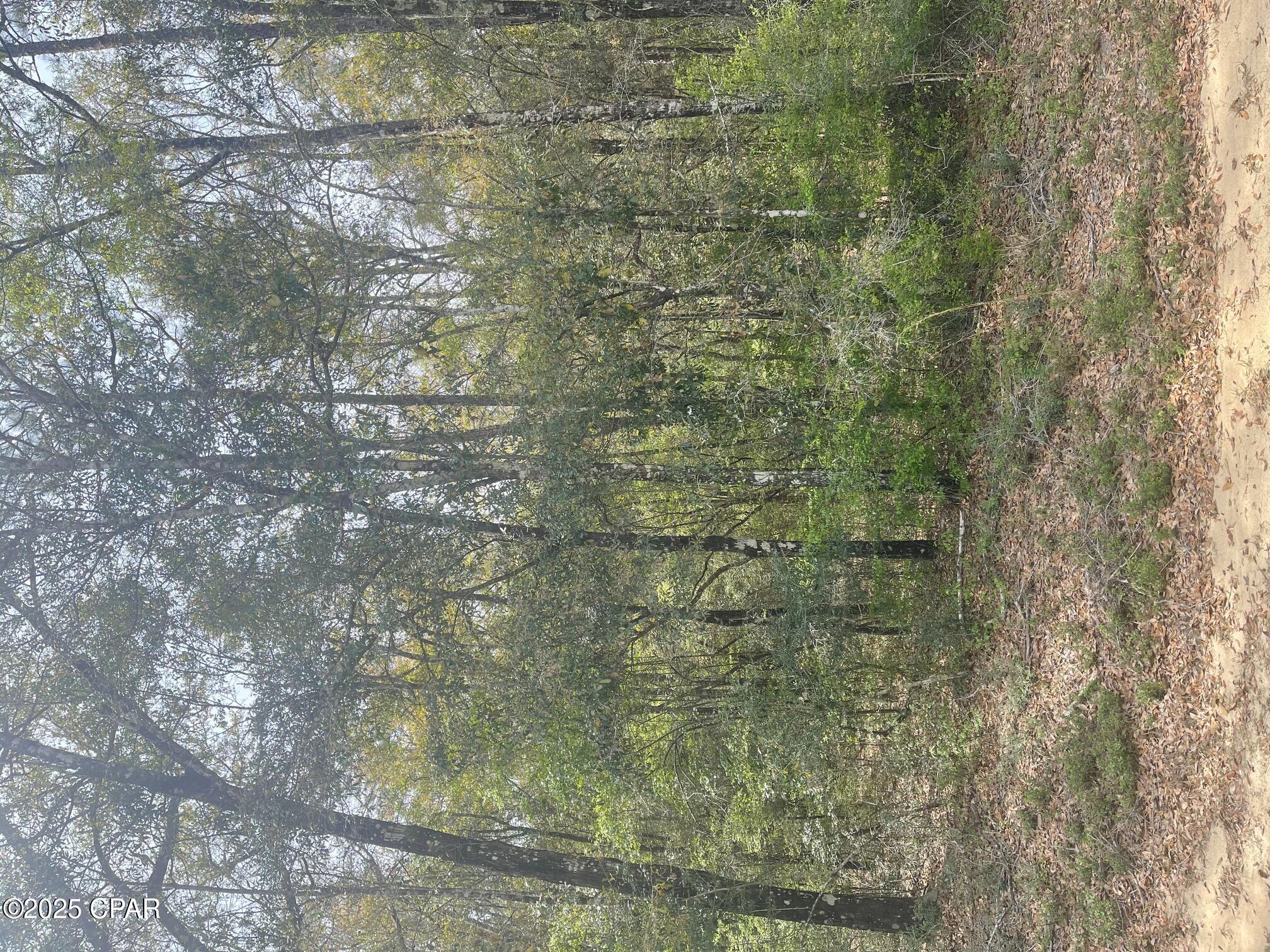 TBD Little John Ln., Bonifay, Florida image 1