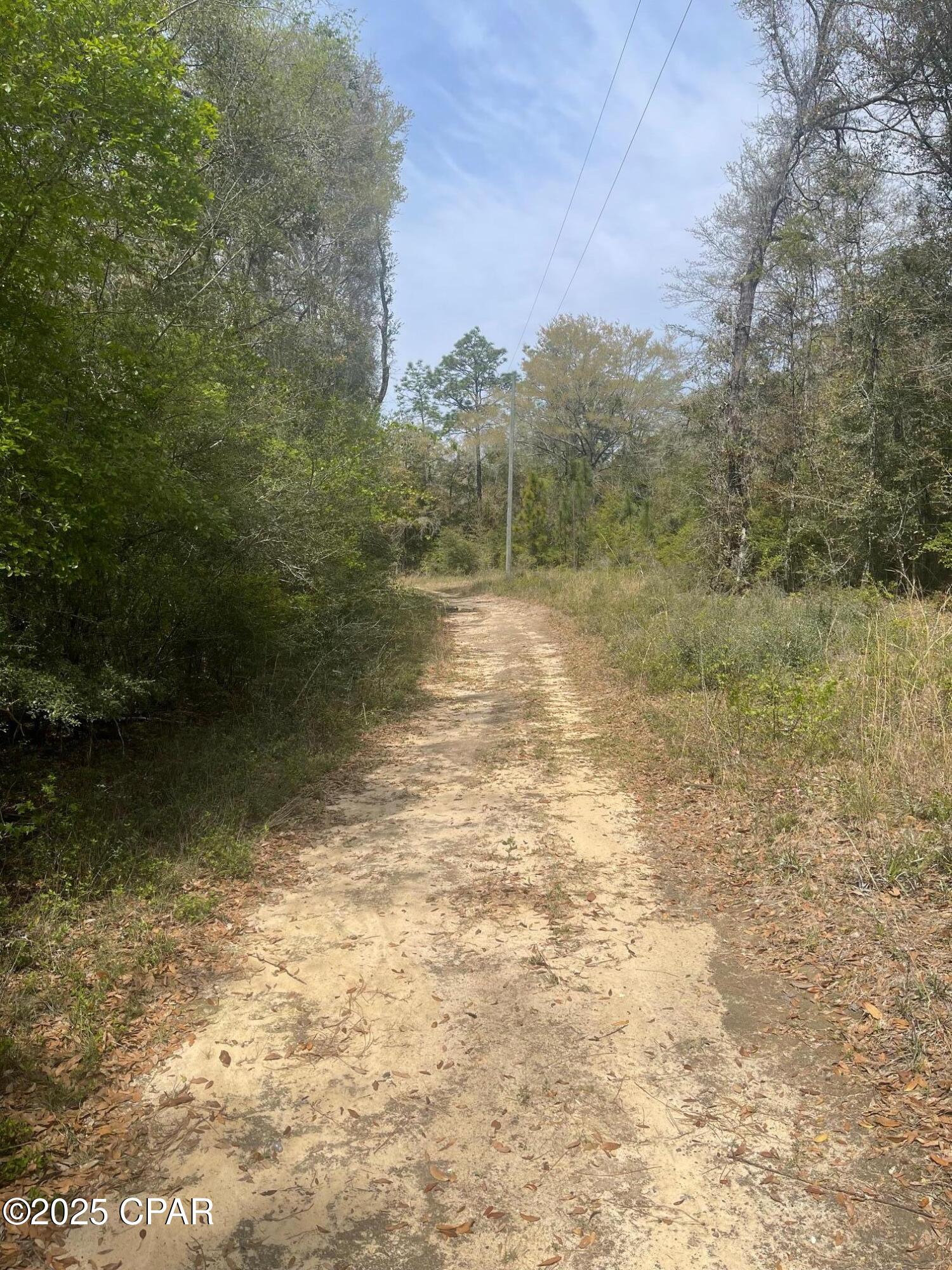 TBD Little John Ln., Bonifay, Florida image 2