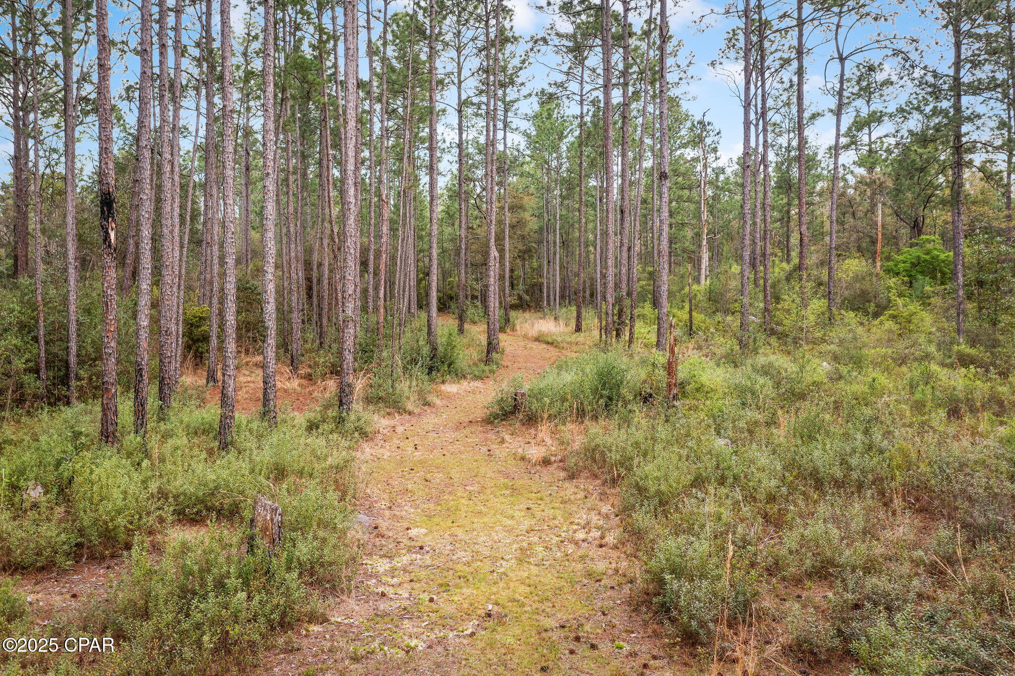 5177 Gaston Road, Vernon, Florida image 27