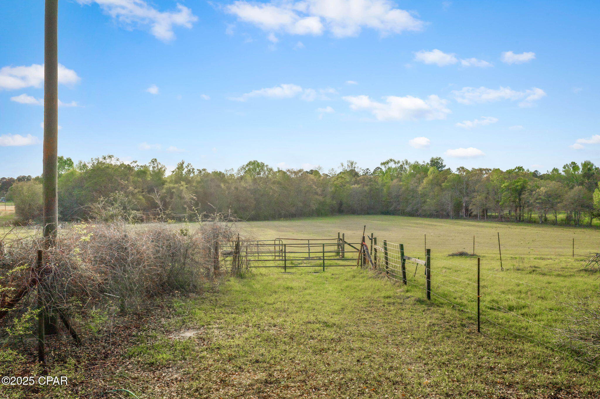 1416 Walker Road, Graceville, Florida image 35