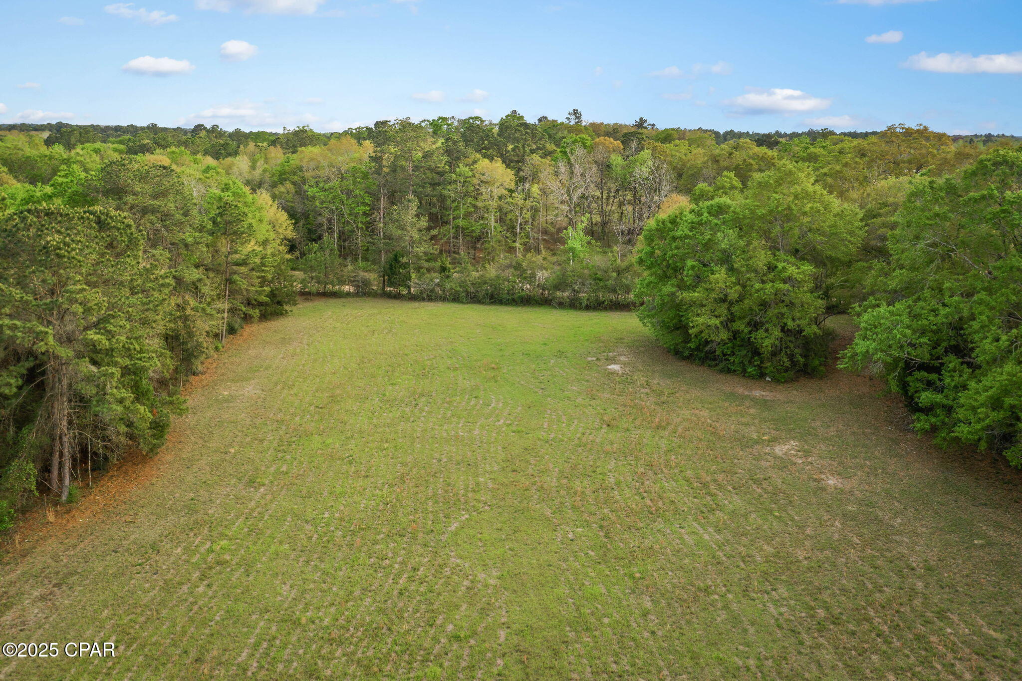 1416 Walker Road, Graceville, Florida image 44