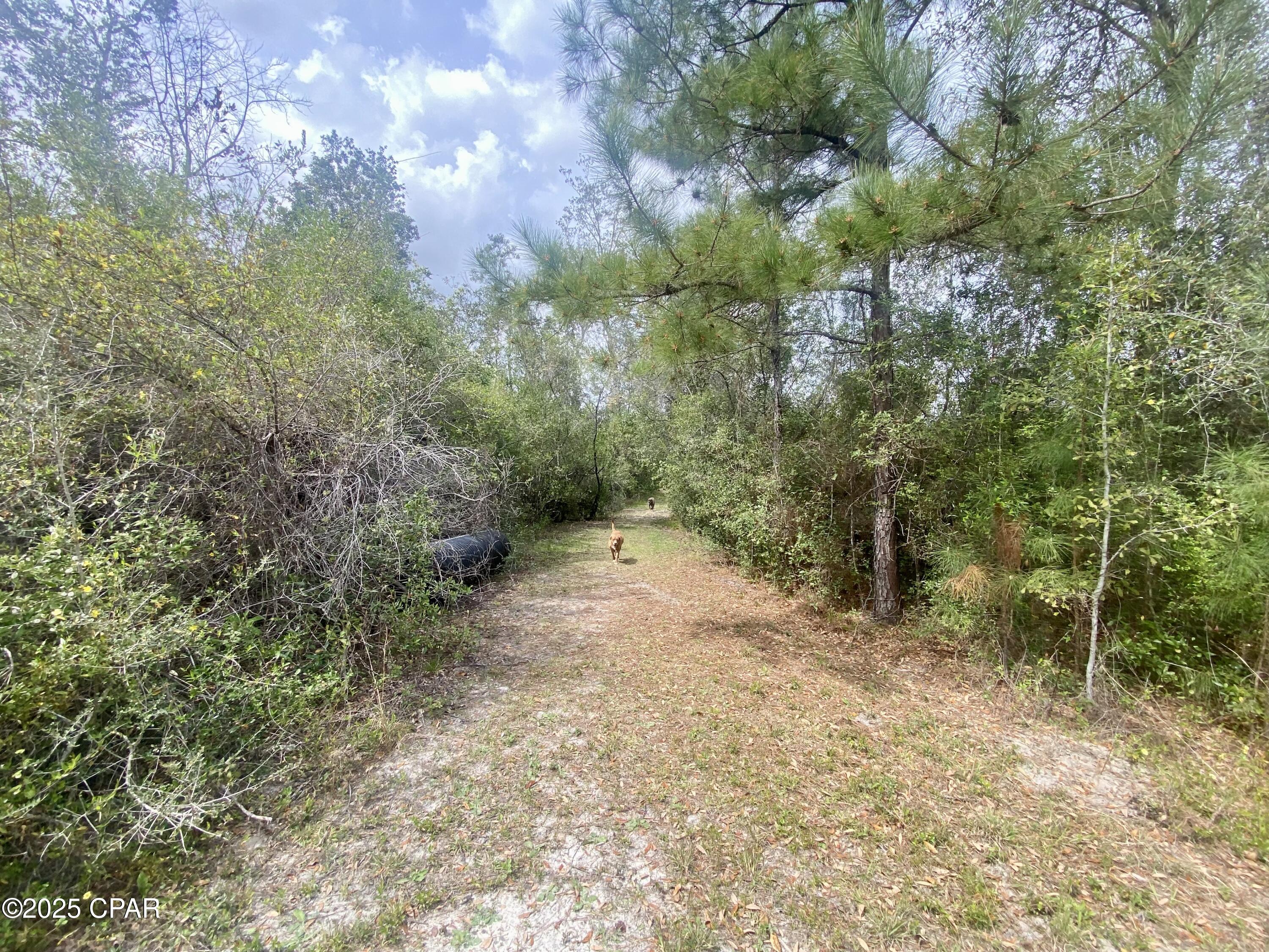 287 Mayflower Drive, Marianna, Florida image 37