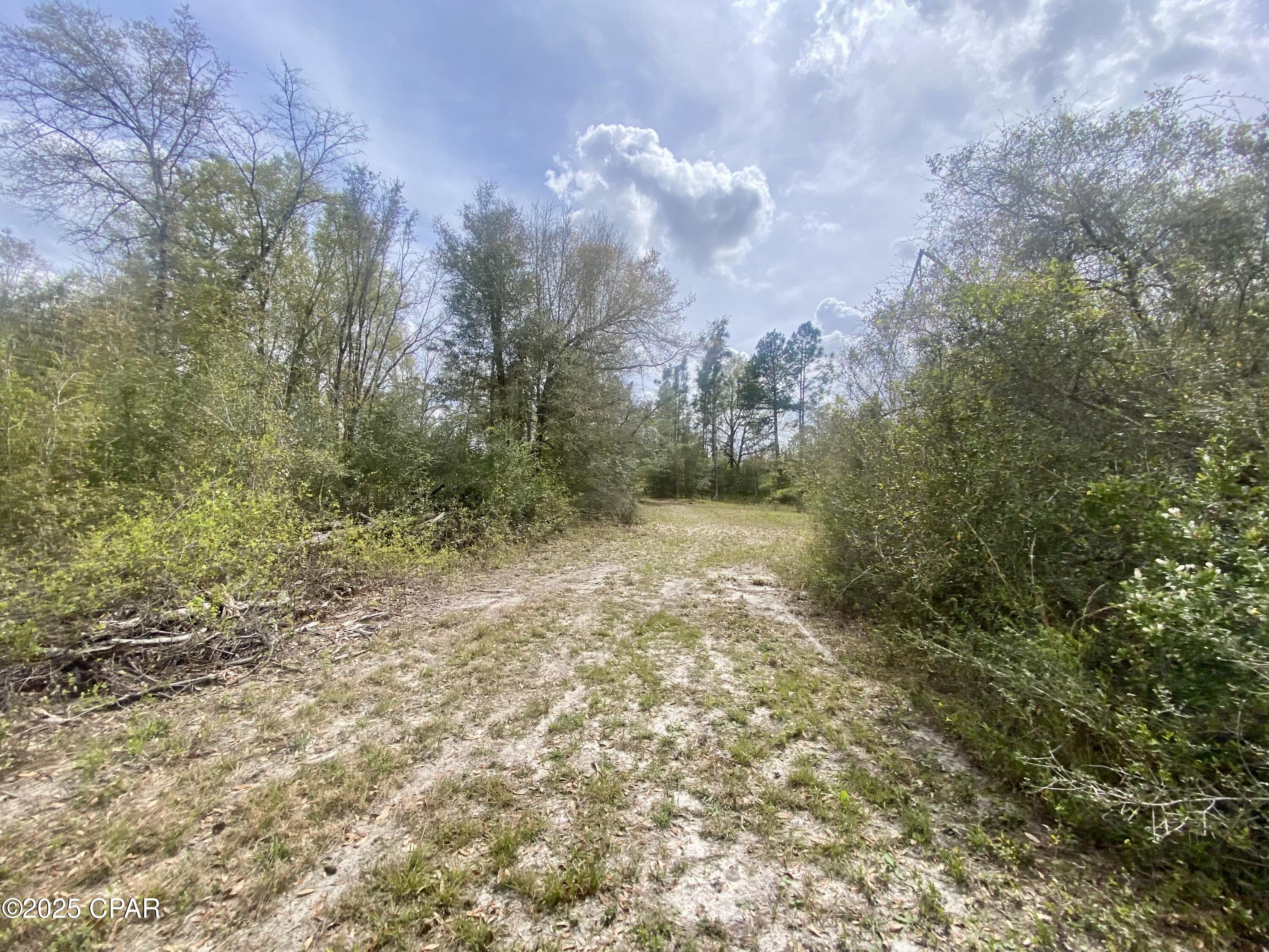 287 Mayflower Drive, Marianna, Florida image 38