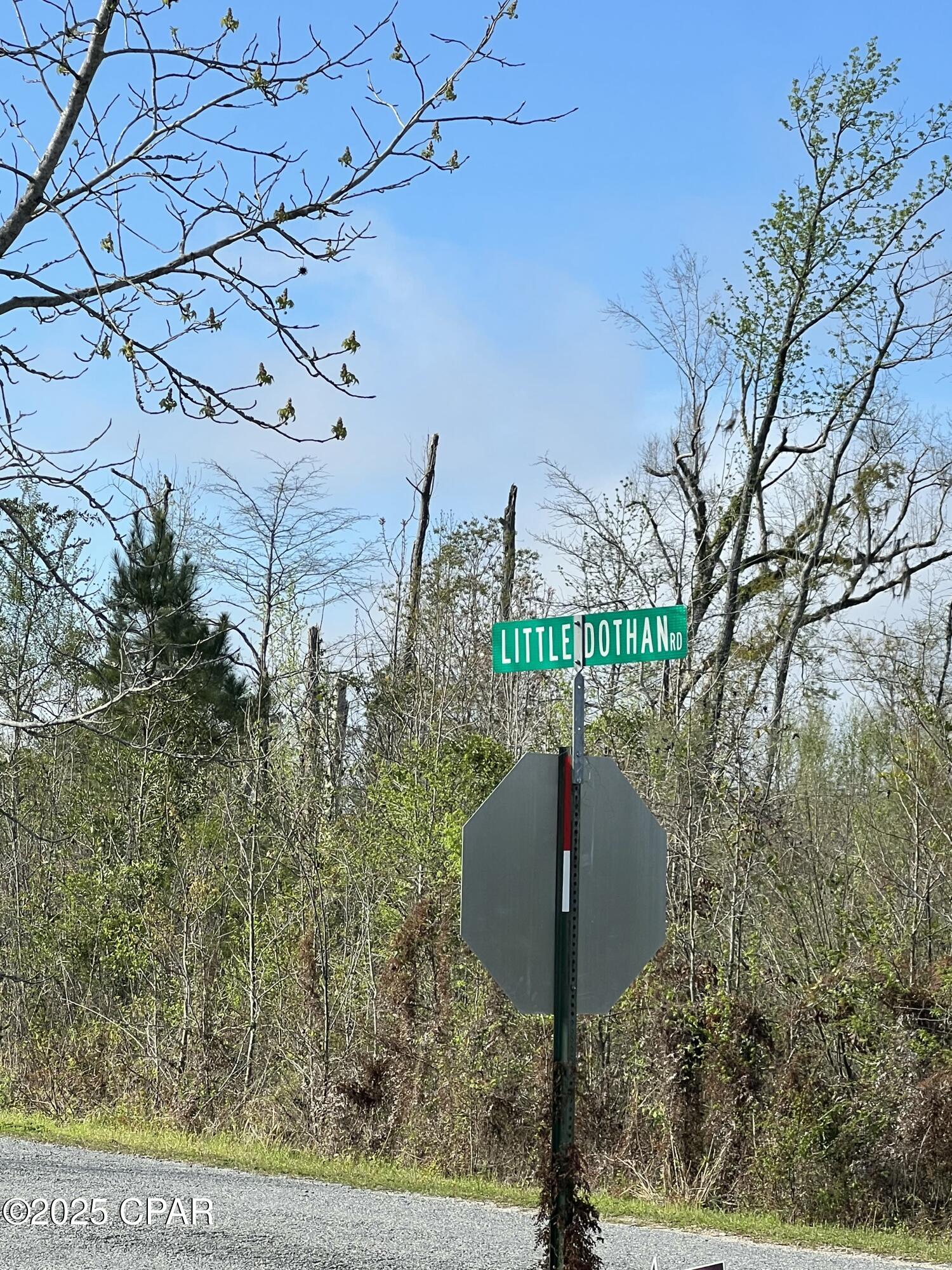 4110 Little Dothan Road, Sneads, Florida image 9