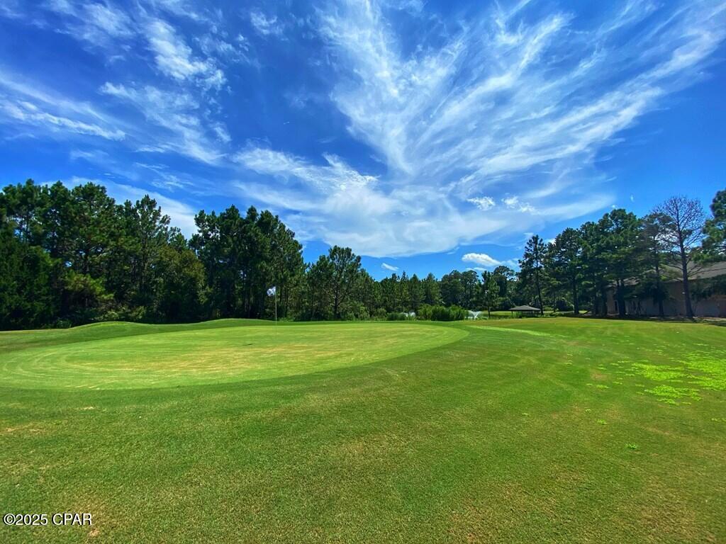 156 Skimmer Drive, Carrabelle, Florida image 15