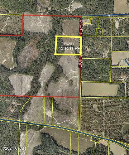 Tract#6201 8 Mile Cemetery Road #2A, Defuniak Springs, Florida image 1