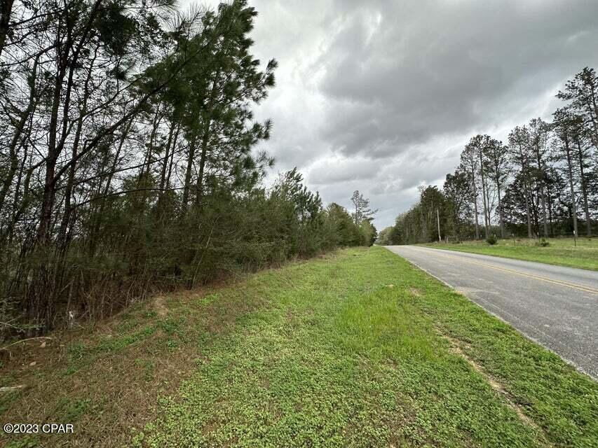 Tract#6201 8 Mile Cemetery Road #2A, Defuniak Springs, Florida image 2