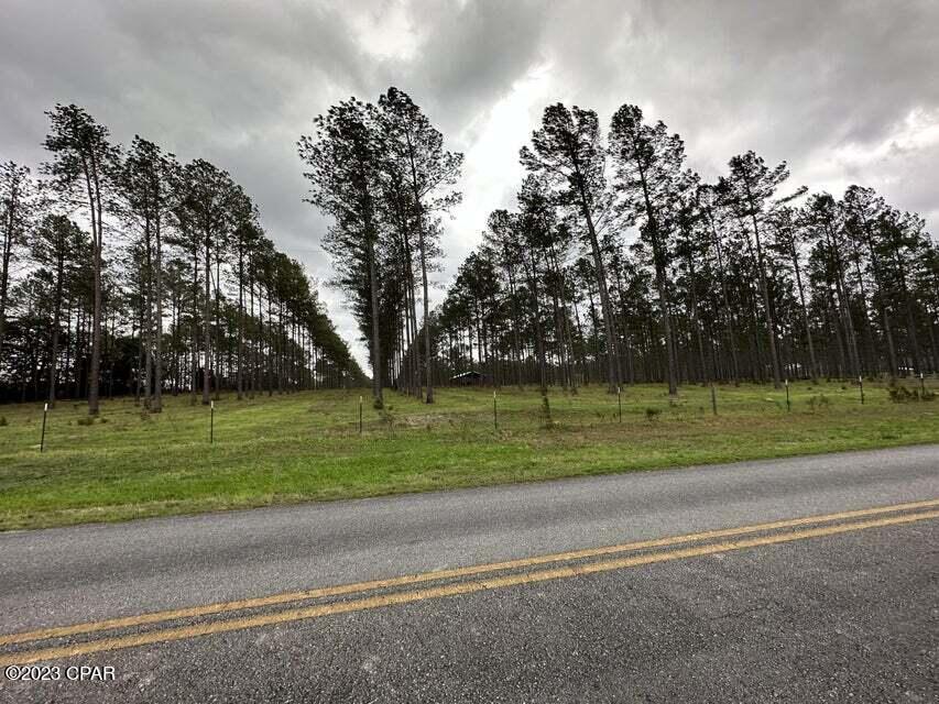 Tract#6201 8 Mile Cemetery Road #2A, Defuniak Springs, Florida image 3