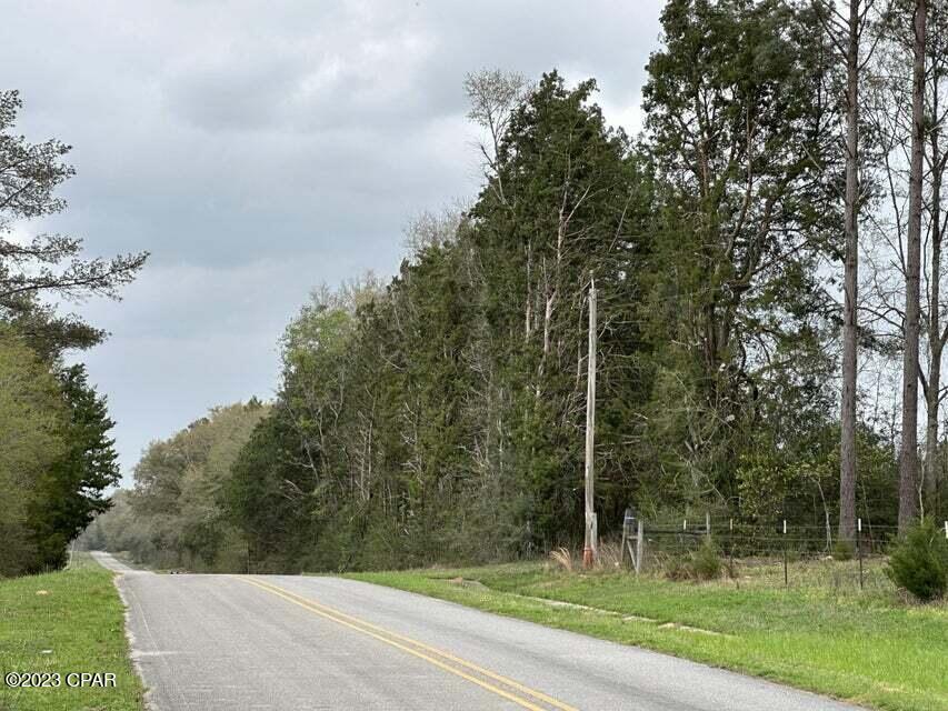Tract#6201 8 Mile Cemetery Road #2A, Defuniak Springs, Florida image 4
