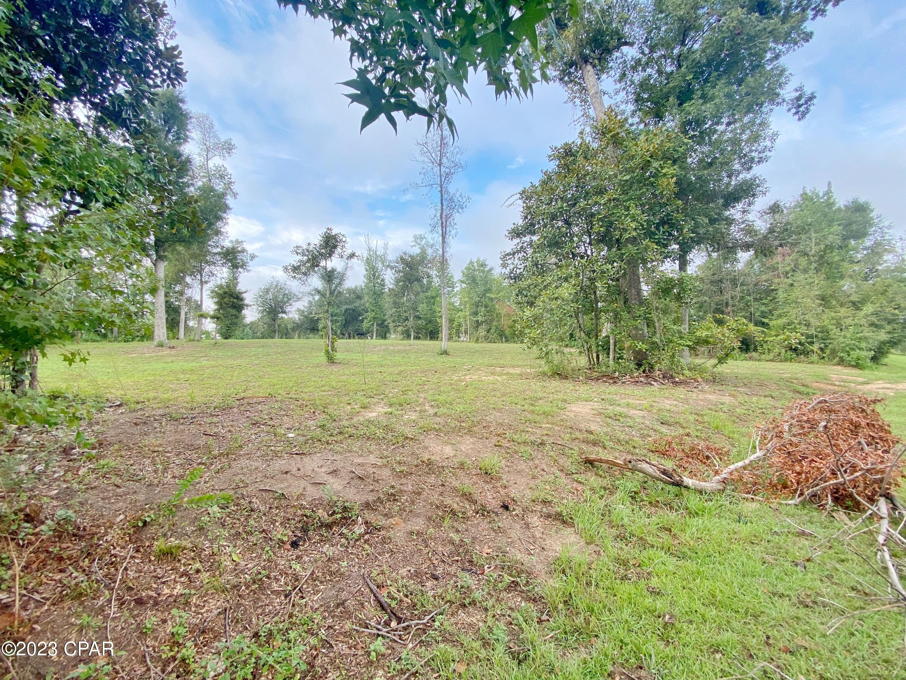 00 Magnolia Blossom Lane, Marianna, Florida image 4