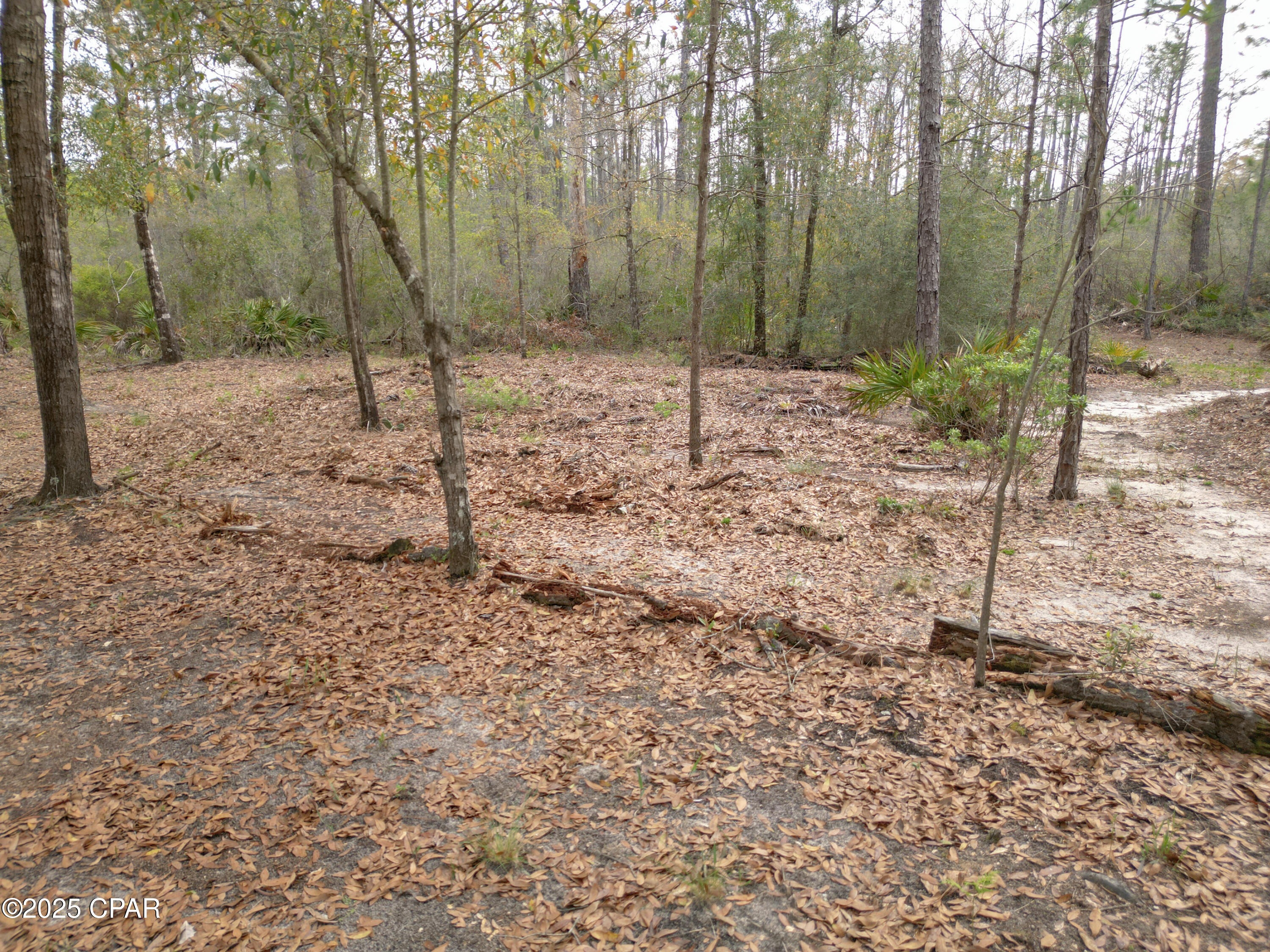 Image 10 For Tbd Silver Lake Road