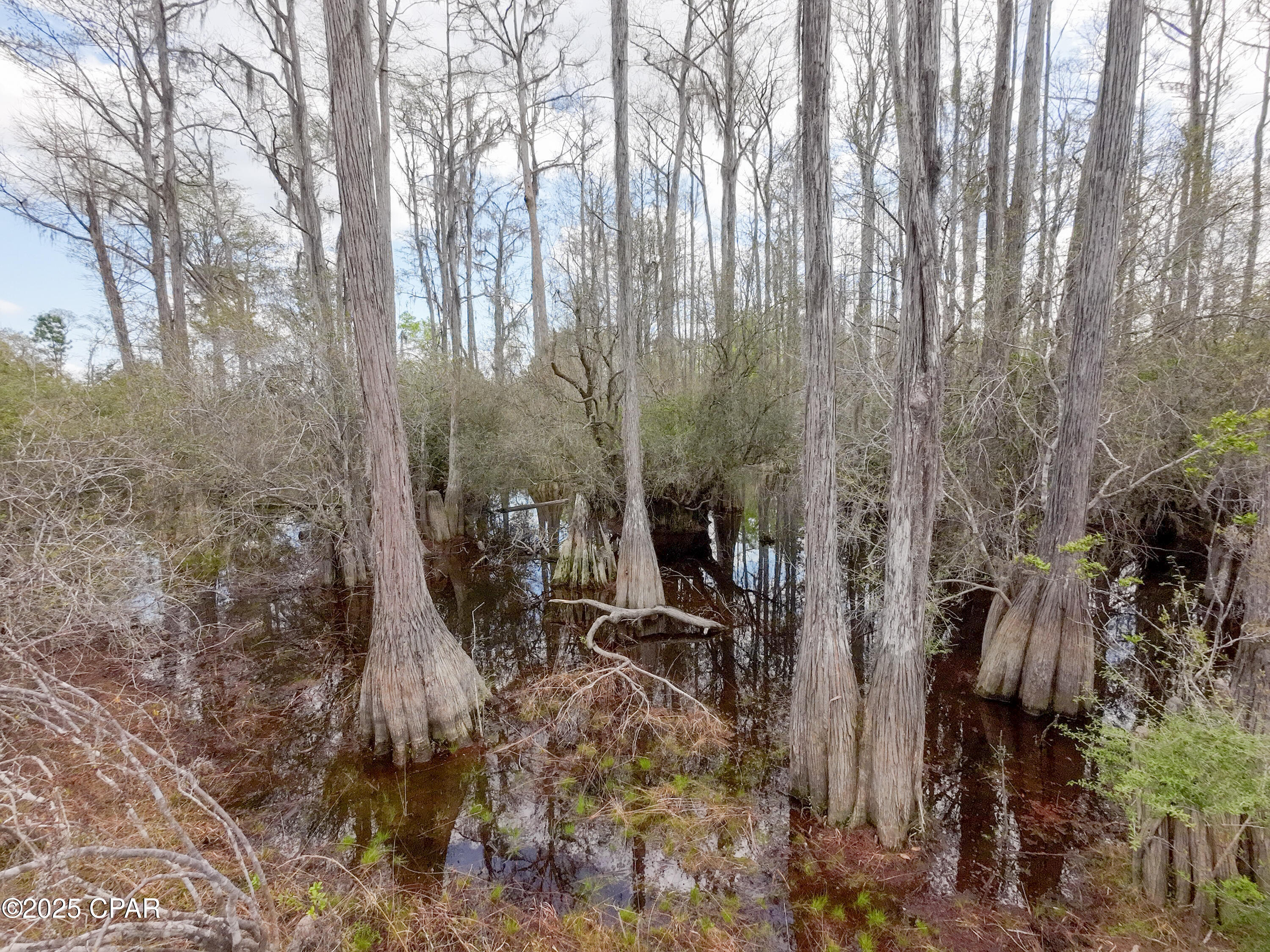 TBD S Silver Lake Road, Fountain, Florida image 17
