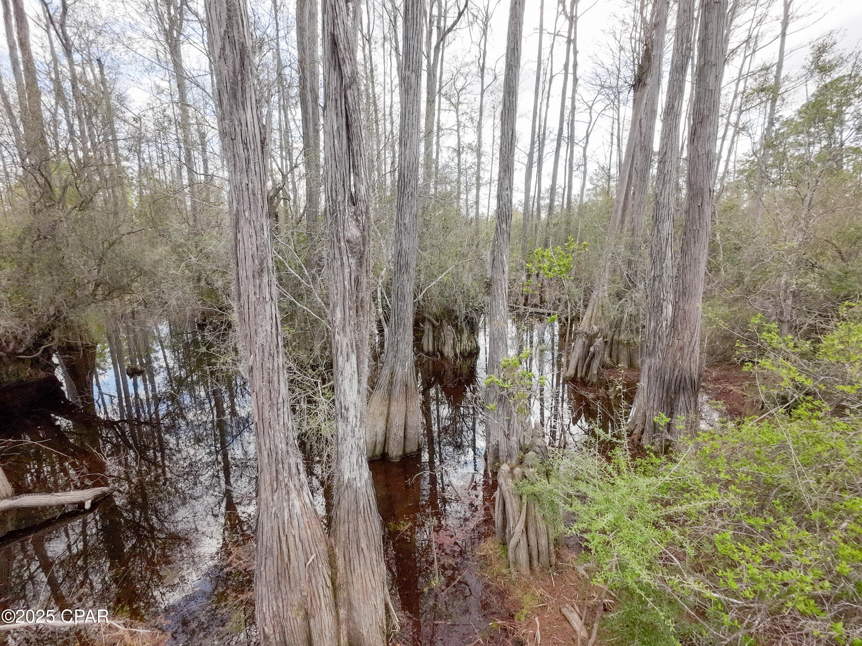 TBD S Silver Lake Road, Fountain, Florida image 18